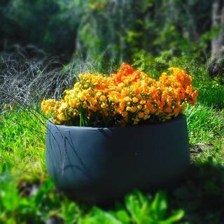 Large 19.7 in. x 19.7 in. x 9.8 in. Granite Color Lightweight Concrete Modern Low Bowl Planter | The Home Depot