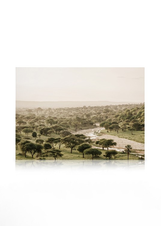 African Wilderness Canvas print | Desenio