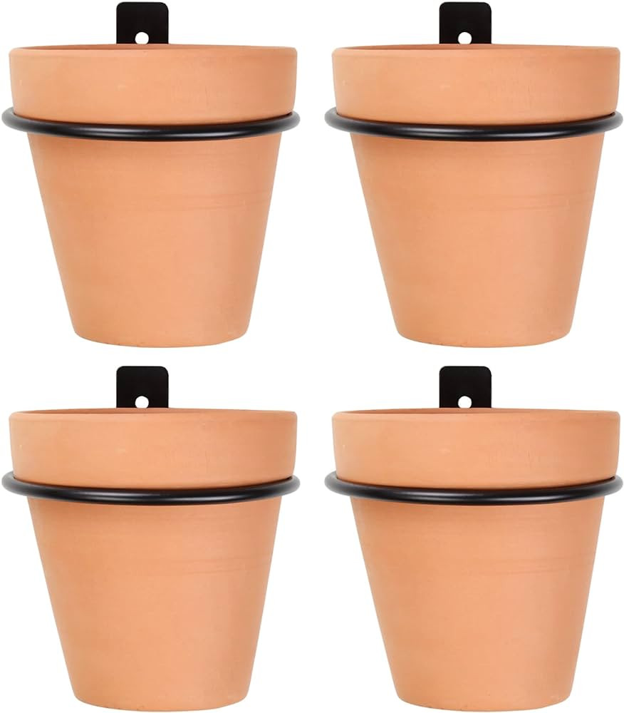 Darware Metal Wall Ring Planters with Pots (4-Pack, 8-Piece Set); Wall Mounted Clay Pots with Hol... | Amazon (US)