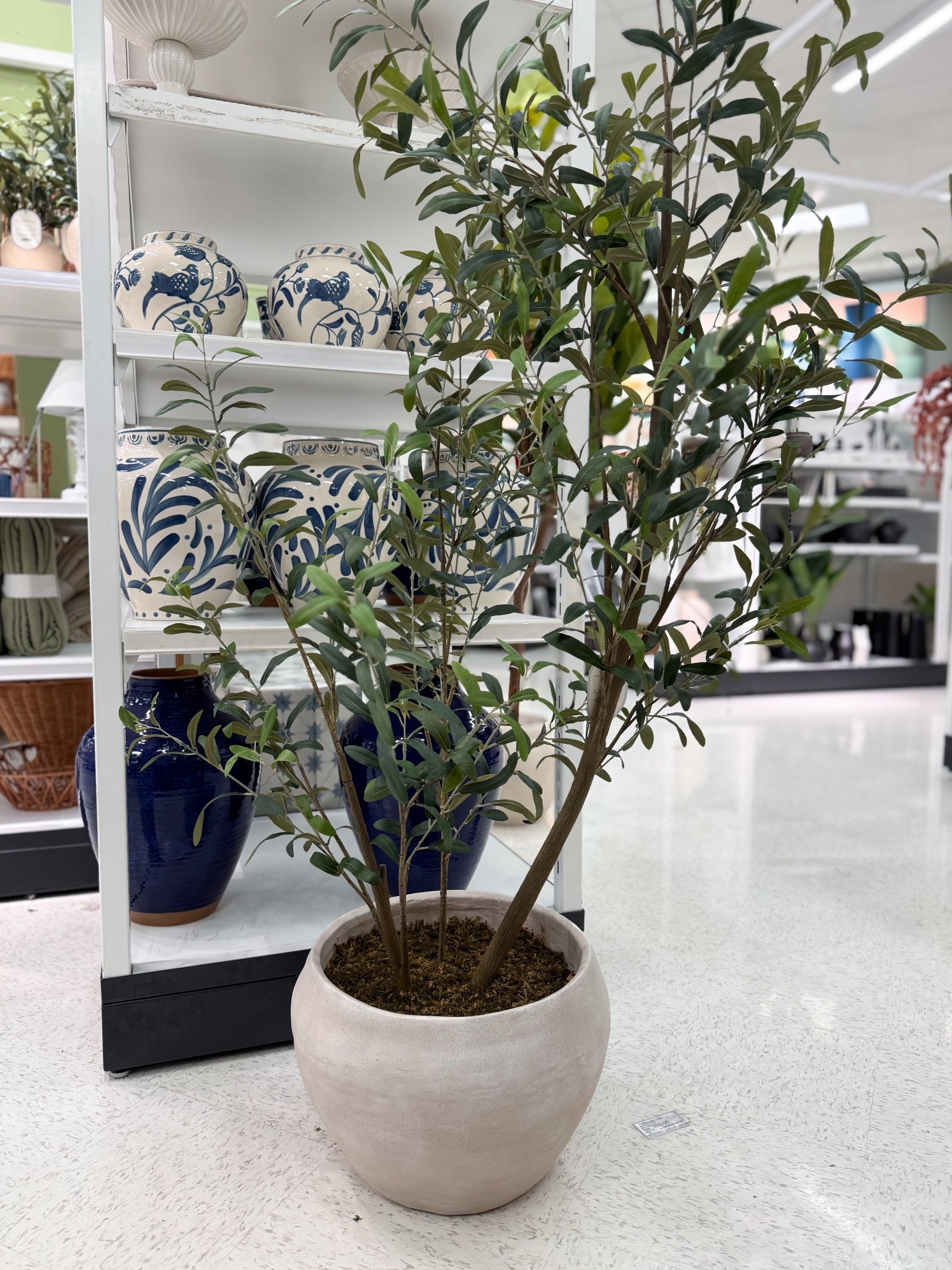 target olive tree

target home decor, spring finds 

#LTKFindsUnder100 #LTKHome