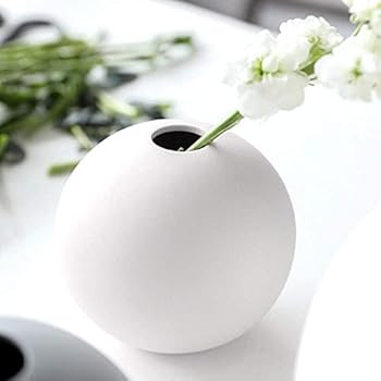 GeLive Small Ceramic Bud Vase, Decorative Round Flower Vase, Hydroponics Container, Reed Diffuser, F | Amazon (US)