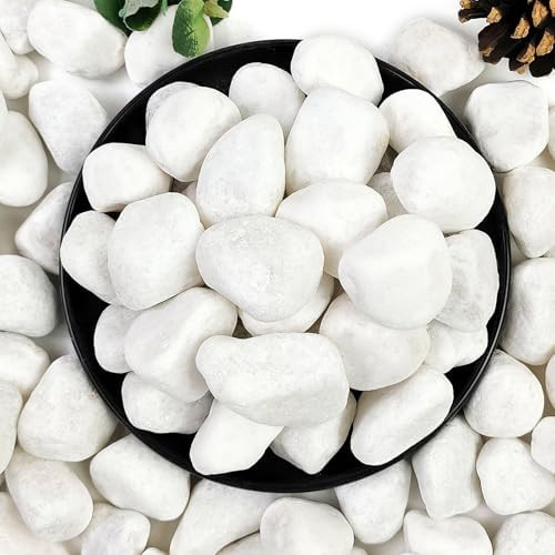 YISZM 5lb White Pebbles for Indoor Plants, 1-2 Inch Natural River Rocks, Snow White Decorative St... | Amazon (US)