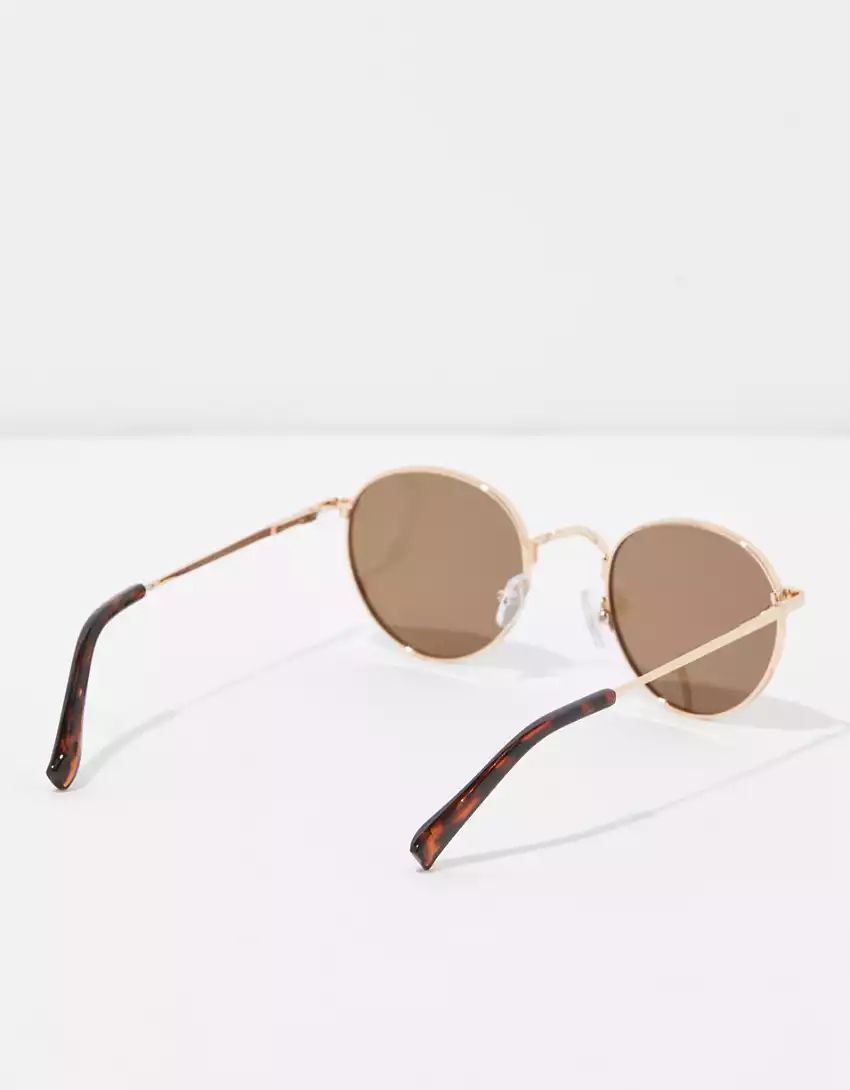 AEO Retro Round Brown Sunglasses | American Eagle Outfitters (US & CA)