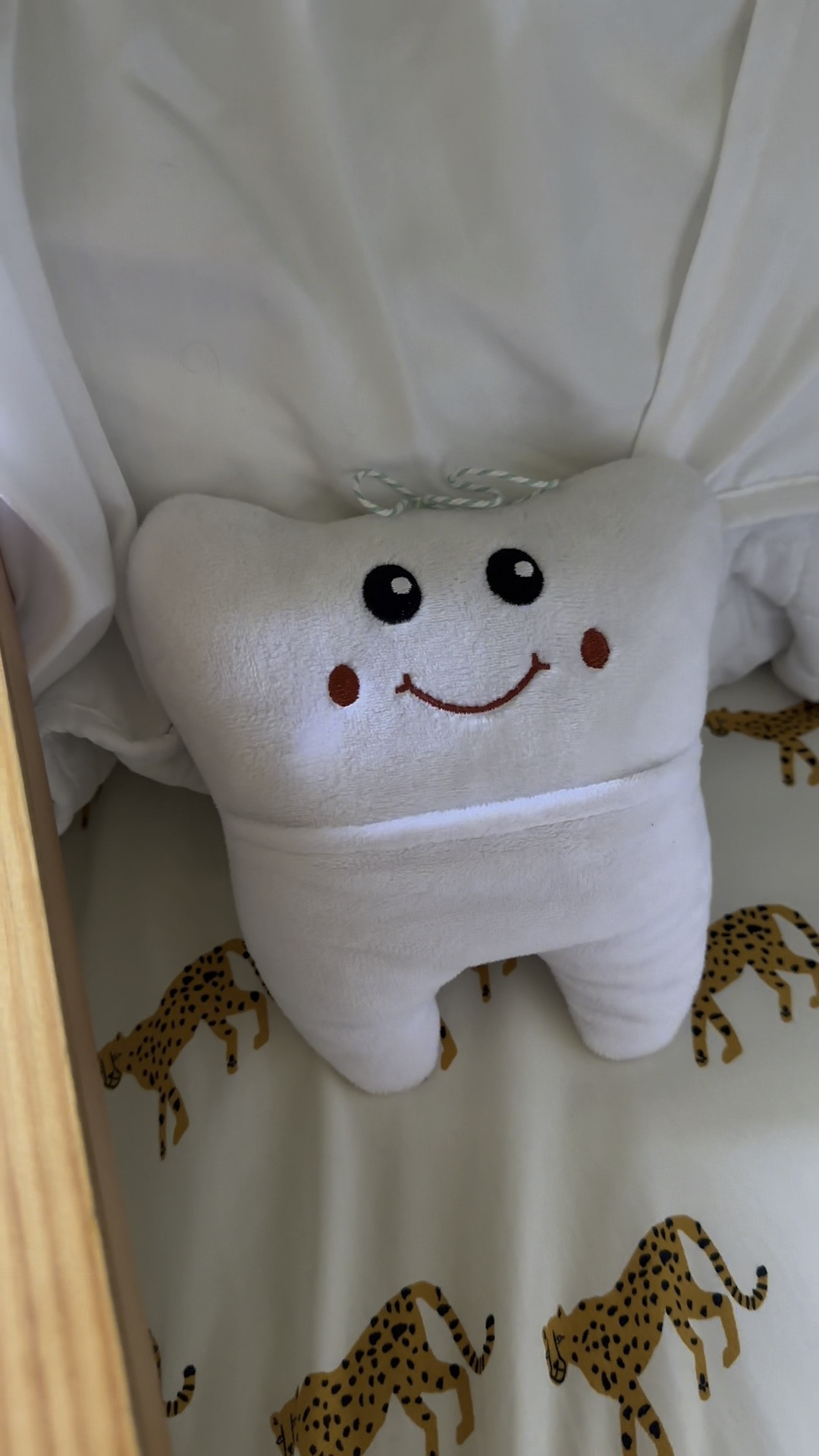 Tooth Fairy Kit 🦷 🧚  

#LTKKids #LTKBacktoSchool #LTKFamily