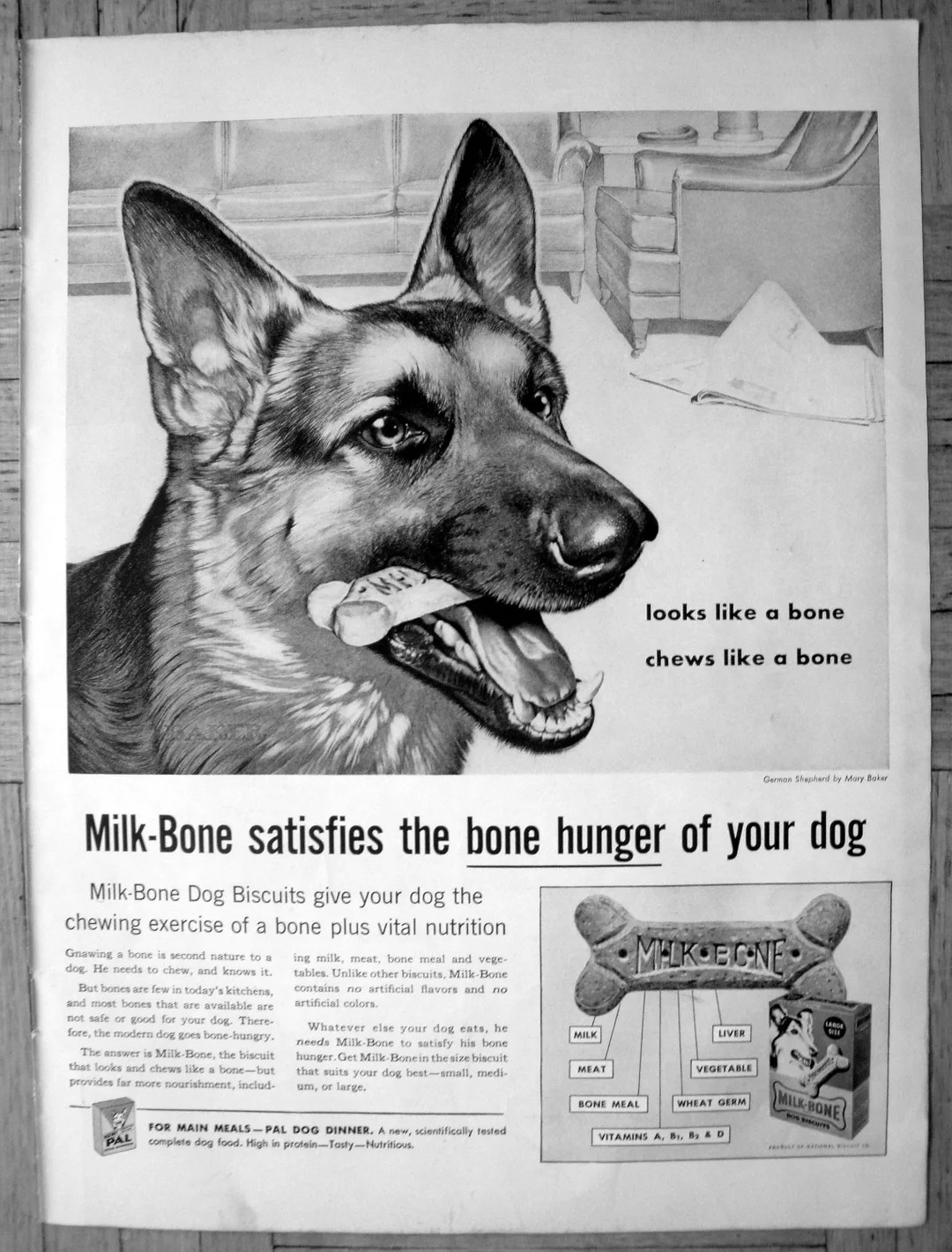1959 German Shepherd - Milk Bone Dog Biscuits Original 13.5 * 10.5 Magazine Ad - Etsy | Etsy (US)
