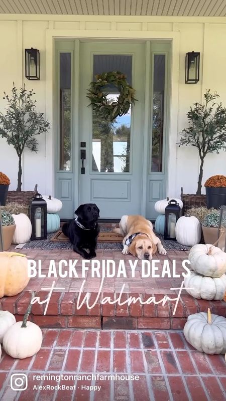 @walmart is offering Black Friday deals all month long in November! There’s amazing deals on electronics, home favorites, vacuums, cooking & dinnerware, toys & gifts for everyone on your list! I’m sharing my favorites on my LTK (rrfarmhouse) and also in stories! #WalmartPartner #BlackFriday #DealsforDays