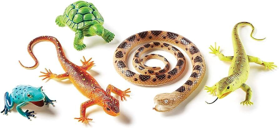 Learning Resources Jumbo Reptiles & Amphibians, Tortoise, Gecko, Snake, Iguana, and Tree Frog, 5 ... | Amazon (US)