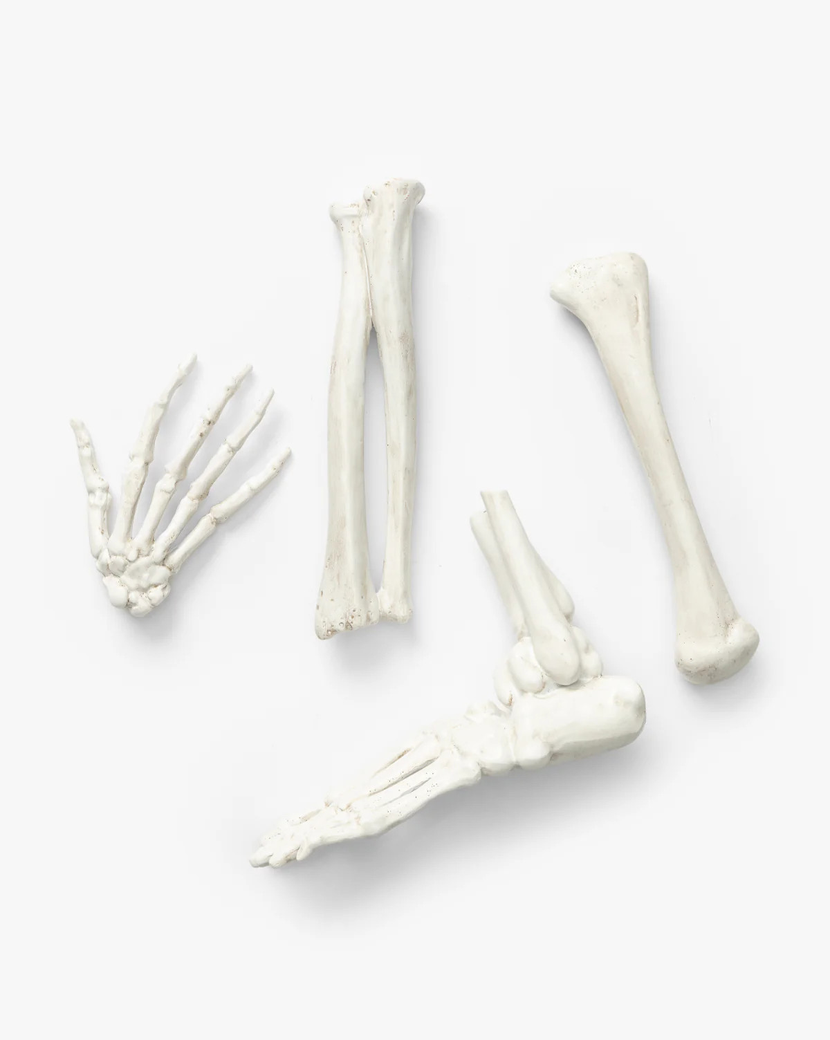 Resin Skeleton Bones in Drawstring Bag  (Set of 4) | McGee & Co. (US)