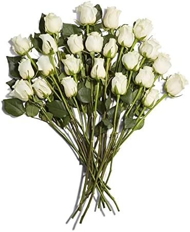 Floral Double Dozen White Roses | Amazon (US)