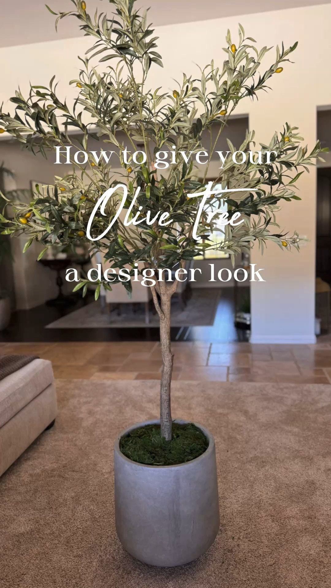 One of my favorite simple designer tricks for making faux olive trees look more high-end 🤍 Upgrading the planter and adding preserved moss greenery instantly gives it a more realistic, finished, and elevated look. It’s such an easy change, but it makes a huge impact in making your space feel warmer, layered, and more thoughtfully styled. Modern organic decor is all about natural texture and those little details that make a home feel cozy and designer inspired.

#LTKHome