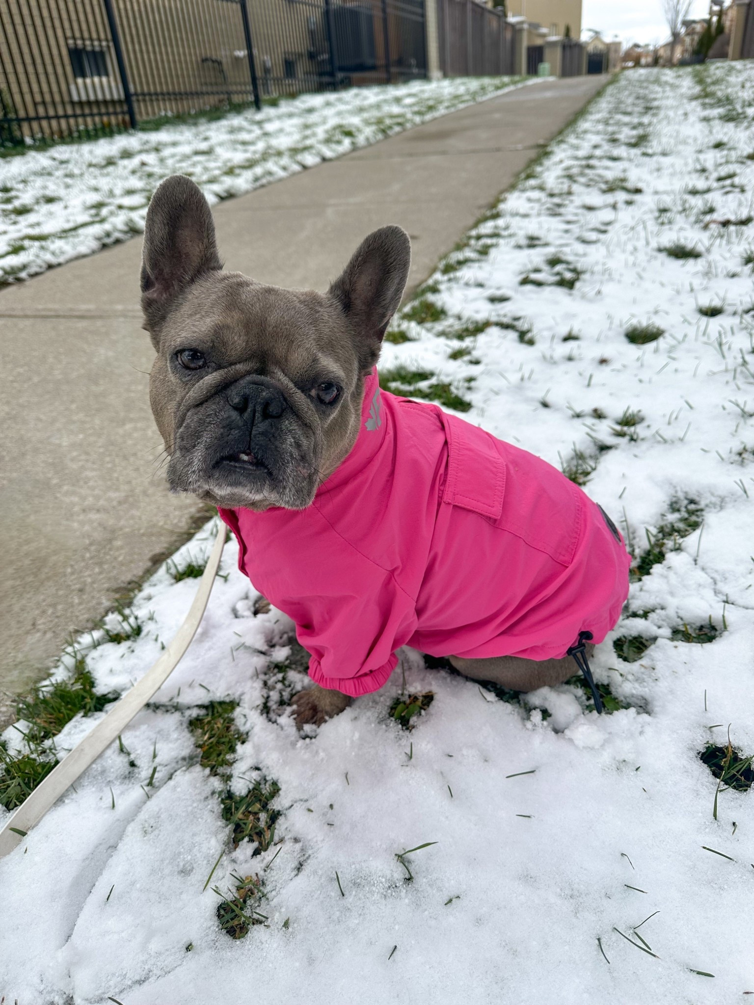 Snow days are here ❄️ Shop all of our snow day essentials 

#LTKHoliday #LTKSeasonal