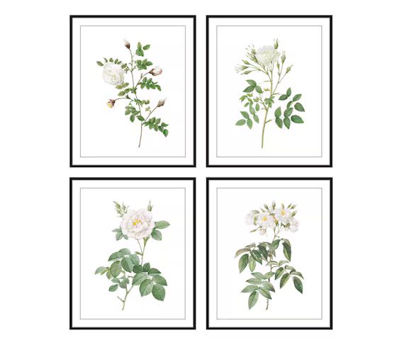 White Roses Set of 4 Digital Download Vintage Rose - Etsy | Etsy (US)