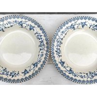 Set Of 2 Vintage Faience Soup Plates - France Terre De Fer Blue Bird Decoration | Etsy (US)