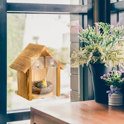 Window Bird Houses For Outside With 2 Powerful Hooks, Clear Window Bird House For Viewing Inside | Wayfair Professional