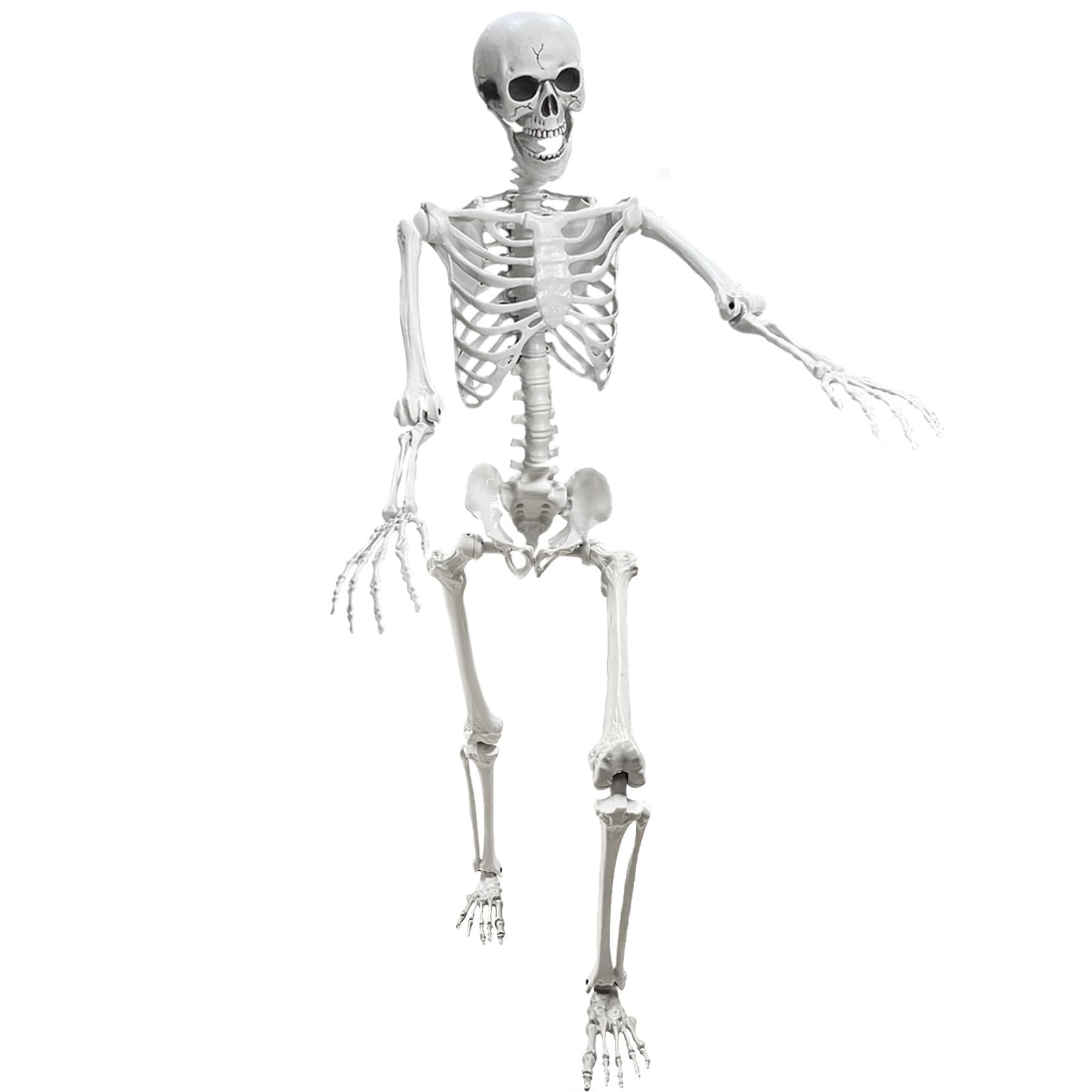 Lodou 5.4Ft Posable Life Size Human Adult Skeletons Plastic Human Bones with Movable Joints for H... | Amazon (US)