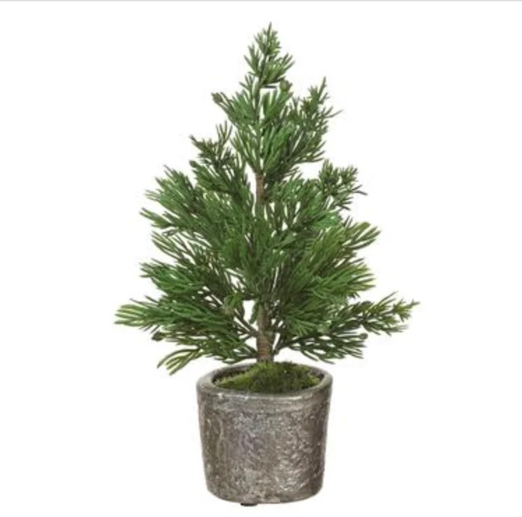 Juniper Tree 10.5" | Cottonwood Company