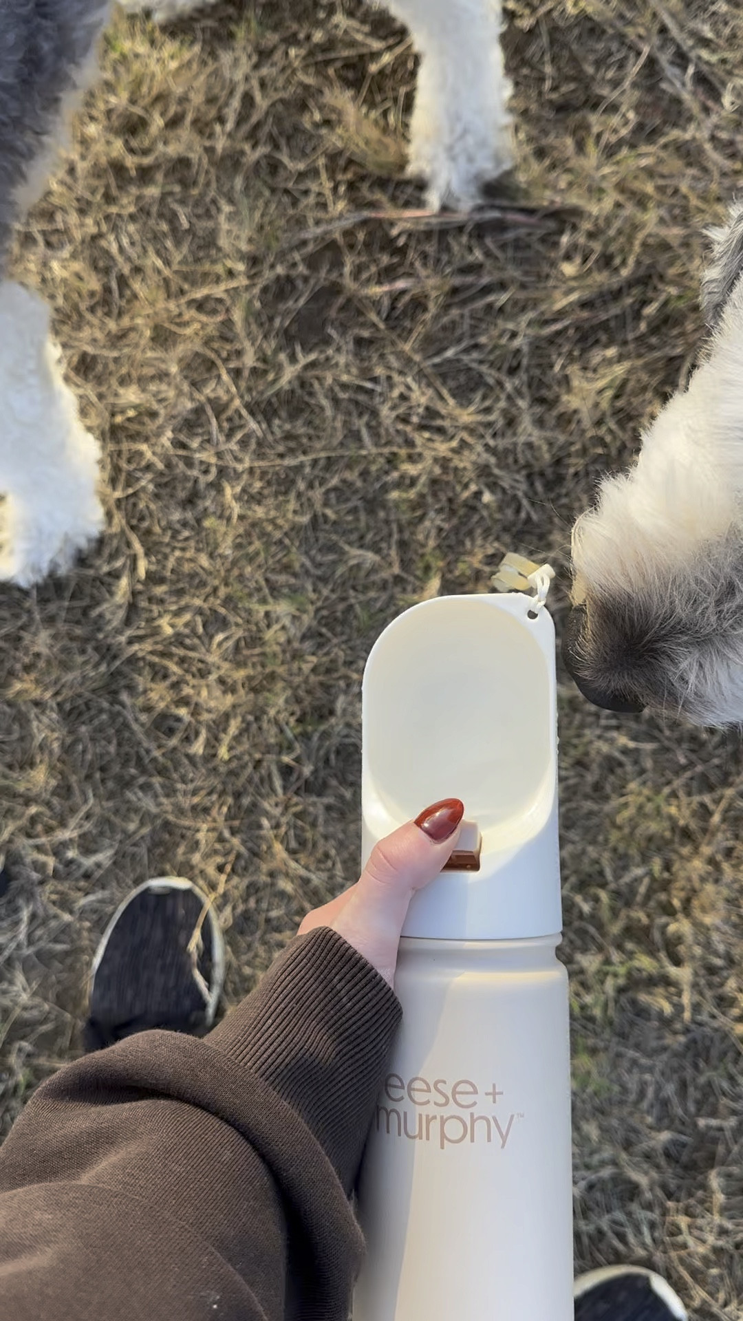 The best dog water bottle! 