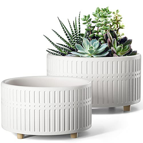 LE TAUCI Succulent Pots, 6.5+8 Inch Ceramic Indoor Plant Pot with Drainage Hole, Modern Round Decorative Flower Pot, Set of 2, Matte White | Amazon (US)