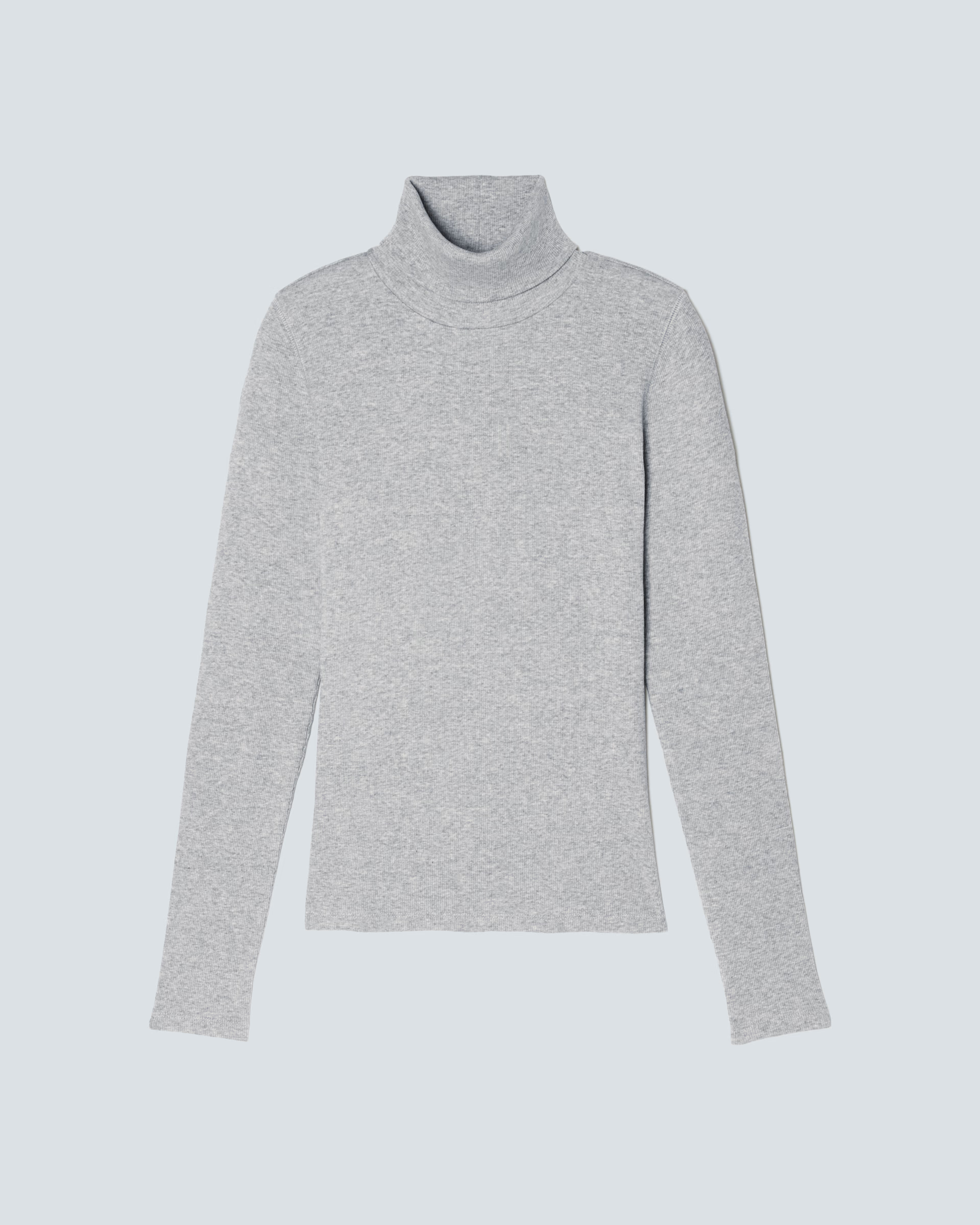 The Luxe Micro-Rib Turtleneck | Everlane