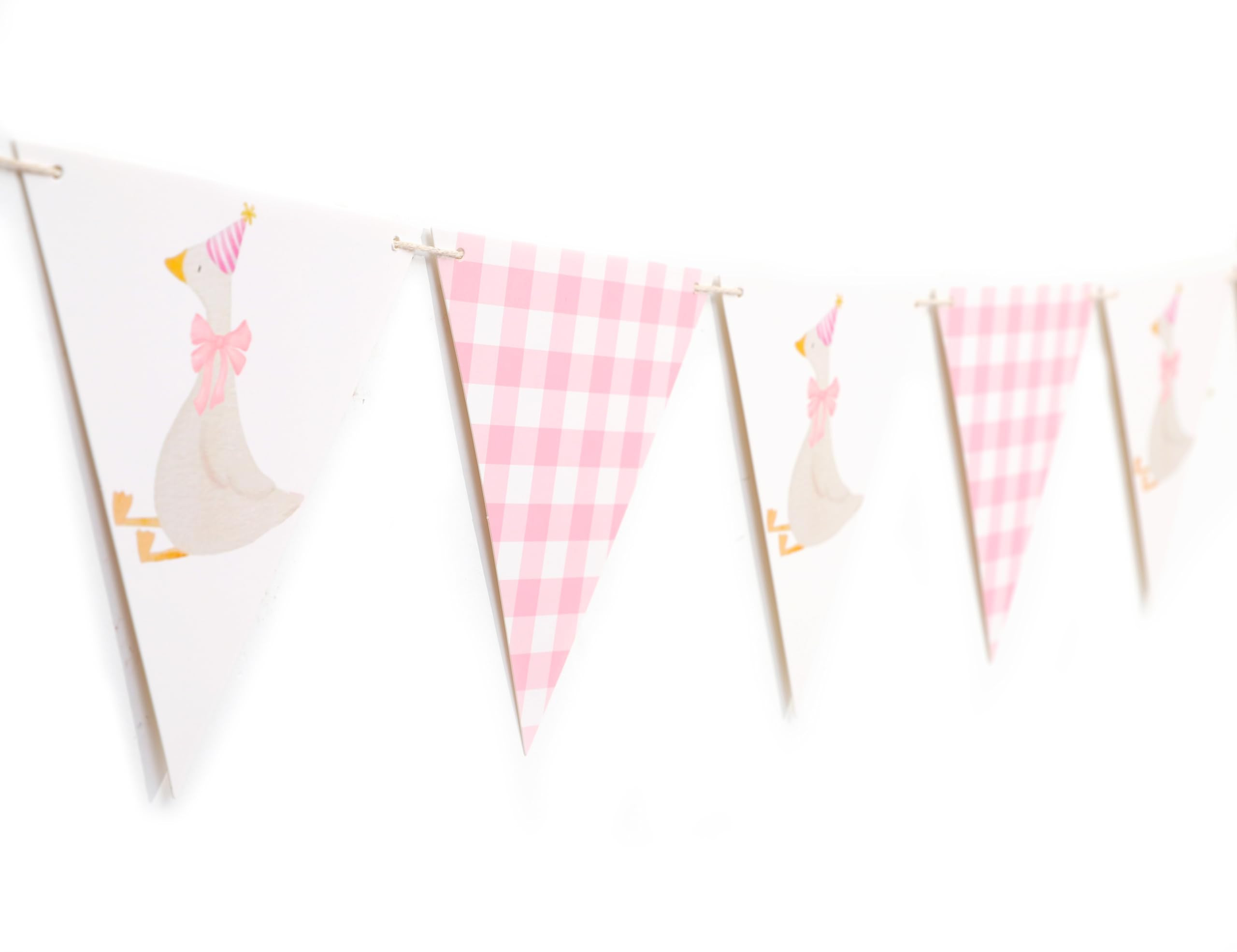 One Silly Goose Birthday Banner - Silly Goose Party Decorations,Baby Shower Gingham Banner,Fabric... | Amazon (US)