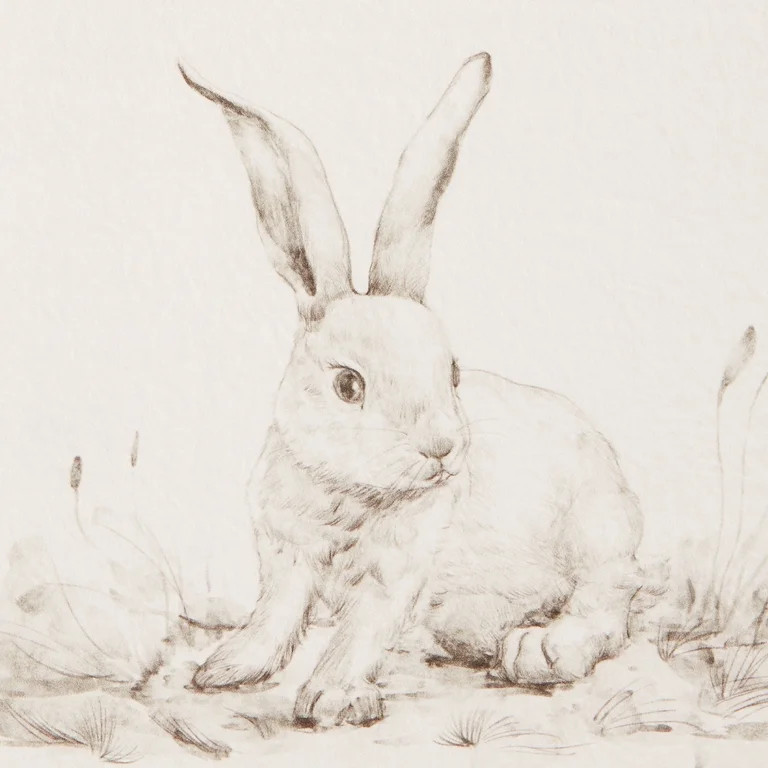 Bunny Sketch Easter Wall Decor, 10 in x 12 in, by My Texas House | Walmart (US)