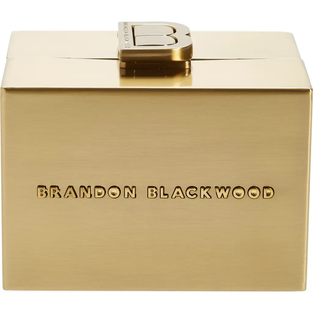 Brandon Blackwood Mini Metal Minaudière in Gold at Nordstrom | Nordstrom