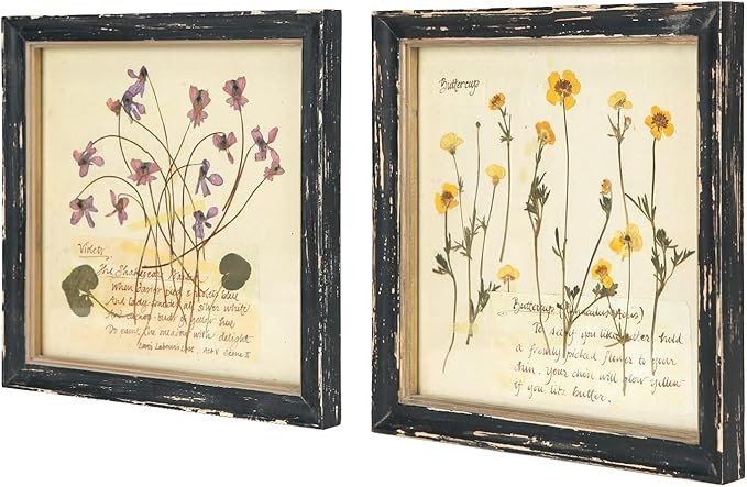 NIKKY HOME Botanical Wall Art Set of 2, Vintage Botanical Prints Wooden Framed Floral Plant Pictu... | Amazon (US)