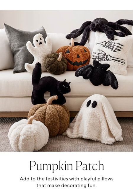 Halloween Pillows 🕷🐈‍⬛👻
#halloweendecor #halloweendecoration #falldecor #halloweencostume #halloweenparty #pumpkindecor #spookydecor #halloweenpillow 

#LTKkids #LTKSeasonal #LTKunder100