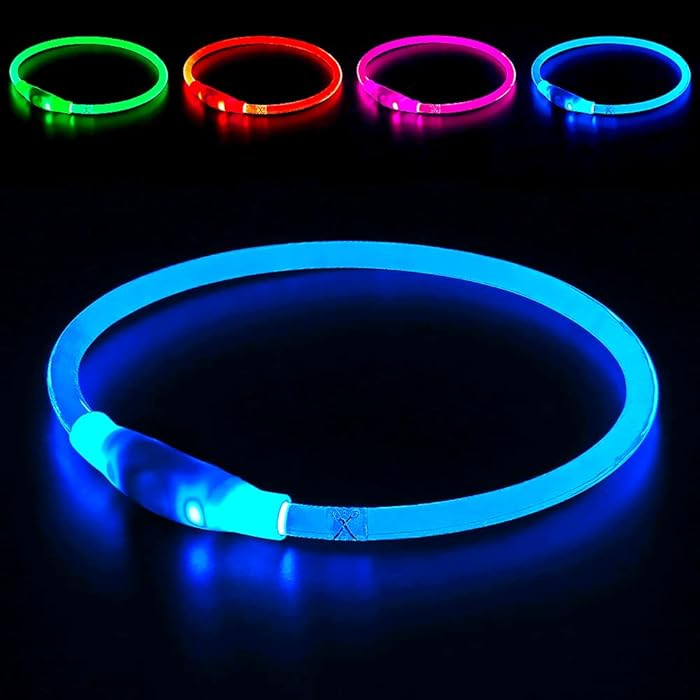 Light up Dog Collar, BSEEN USB Rechargeable Flash Dog Necklace Light, Pet Safety Collar Makes You... | Amazon (US)