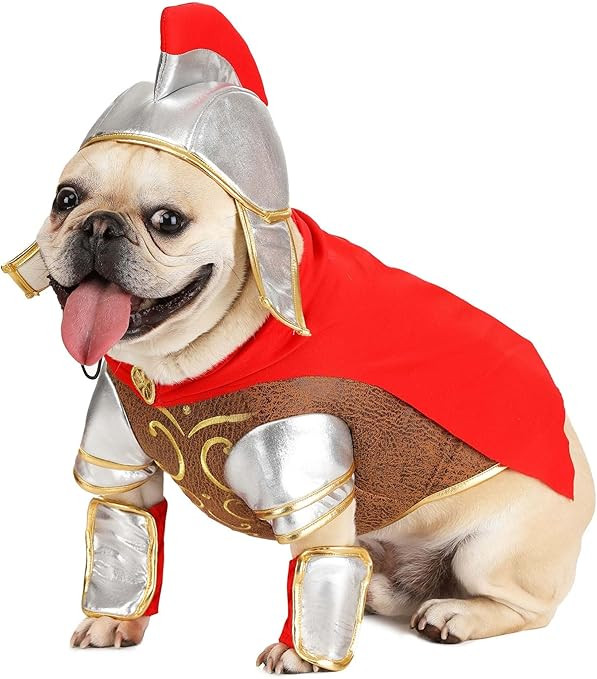 Fun Costumes Greek Medieval Dog Costume Armor Faux Leather Warrior Outfit for Pets Halloween Cosp... | Amazon (US)