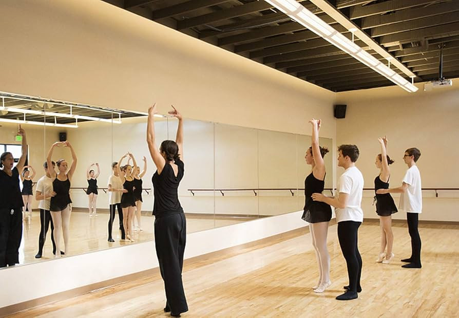 Hans Wall-Mounted Activity Mirror for Gymnastics,Fitness(48"X32") (1) | Amazon (US)