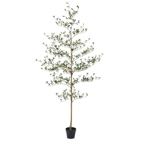 Verinatural Artificial Black Olive Tree 6ft - Shady Lady UV Resistant Faux Olive Trees Indoor Outdoor Decor - Modern Aesthetic Tall Fake Plants with Pot for Home Office Living Room Patio Floor, VN140 | Amazon (US)