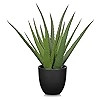 Artificial Succulent Aloe Plants 13 Inch Large Faux Succulents with Ceramic Pot Fake Aloe Potted ... | Amazon (US)