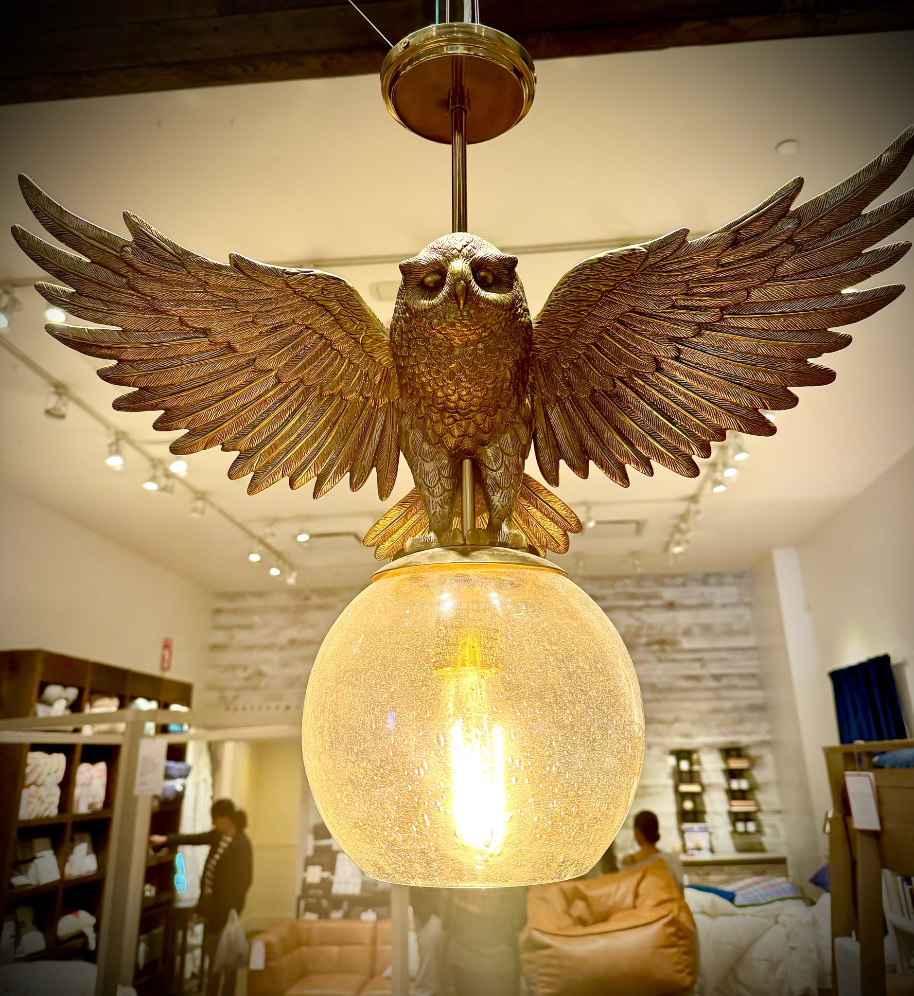 Hedwig decor is owl-ways the right choice. 🦉 I love this chandelier!