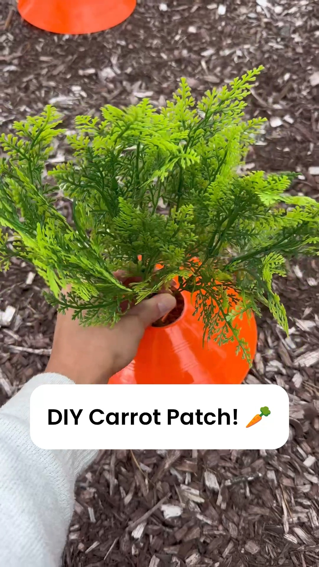 Finally, something the deer won’t eat! 🤣🦌

diy carrot patch, garden carrot decor, easter carrot patch diy, amazon easter decor, spring garden diy ideas, outdoor easter decorations, carrot garden display, diy easter yard decor, bunny garden theme, easy spring diy decor, faux carrot patch, garden decor ideas spring, easter yard setup, budget friendly easter decor, amazon home finds spring