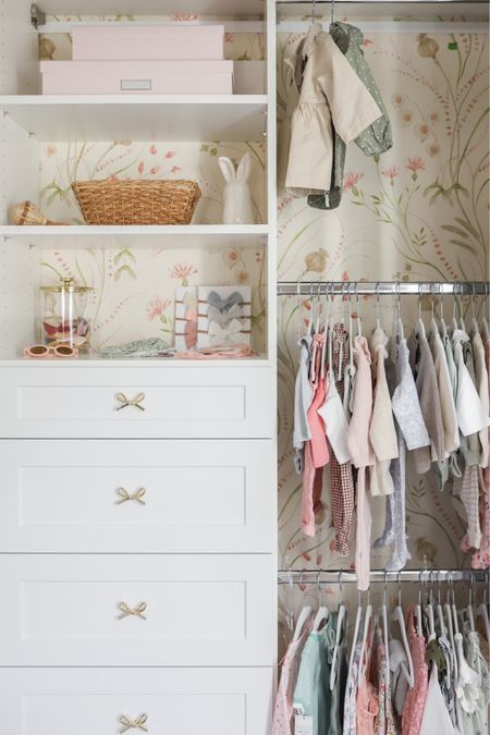 Is there anything cuter than a closet full of baby clothes? 


#LTKhome #LTKbaby #LTKkids