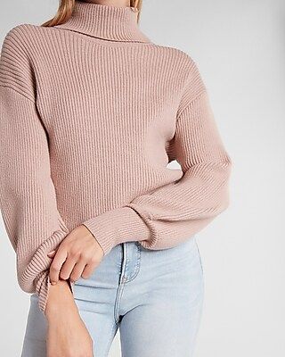 Ribbed Turtleneck Sweater | Express