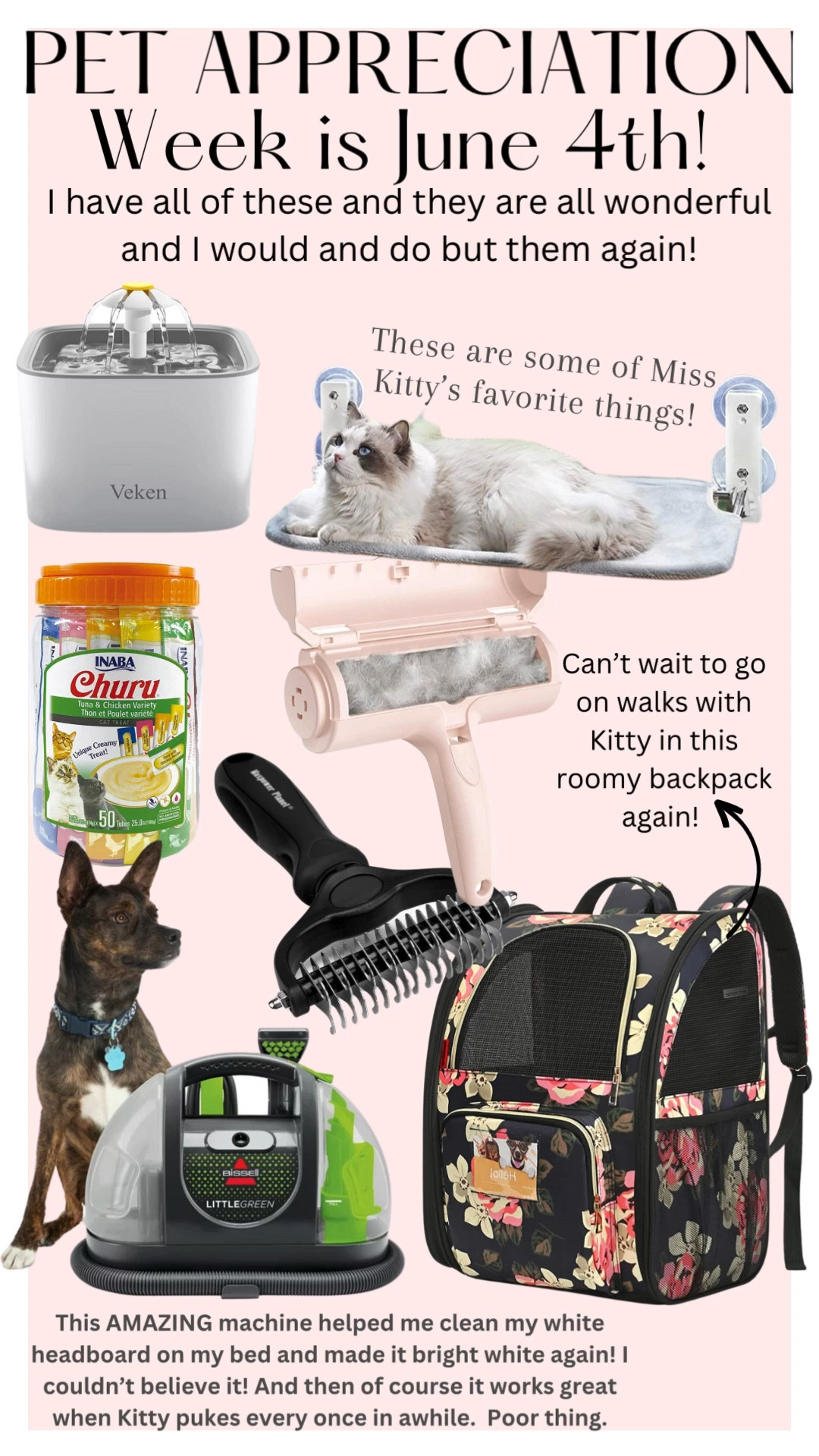 Pet Appreciation Gifts!
Miss Kitty and I absolutely love all of these things! 

#LTKunder50 #LTKfamily #LTKGiftGuide