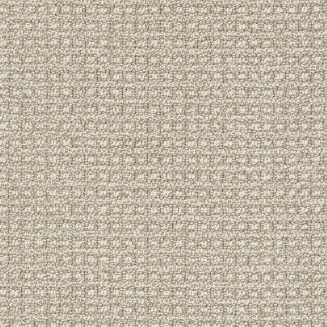 STAINMASTER PetProtect Fetch Creekbed Pattern Carpet (Interior) Lowes.com | Lowe's