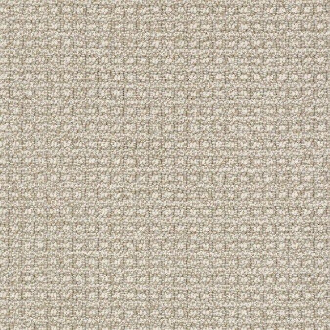 STAINMASTER PetProtect Fetch Creekbed Pattern Carpet (Interior) Lowes.com | Lowe's