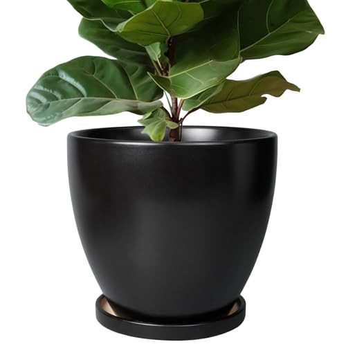 EPFamily Ceramic Planter - 10 Inch Plant Pot with Drainage Hole and Tray, Round Flower Pots, Planters for Indoor Plants, Modern Room Garden Patio Bathroom Living Room Porch Home Decor, Black | Amazon (US)