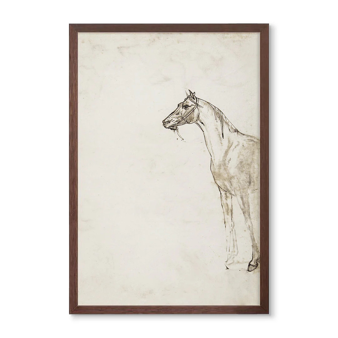 Horse Sketch | Wholesale Giclee Prints | Urban Garden Prints