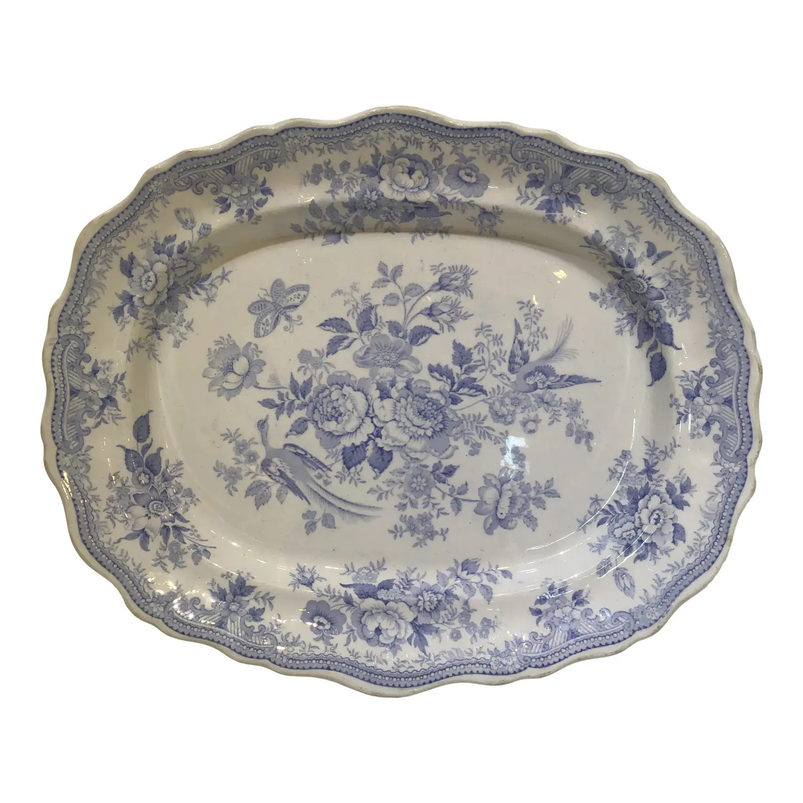 19th Century Asiatic Pheasant Platters | Chairish