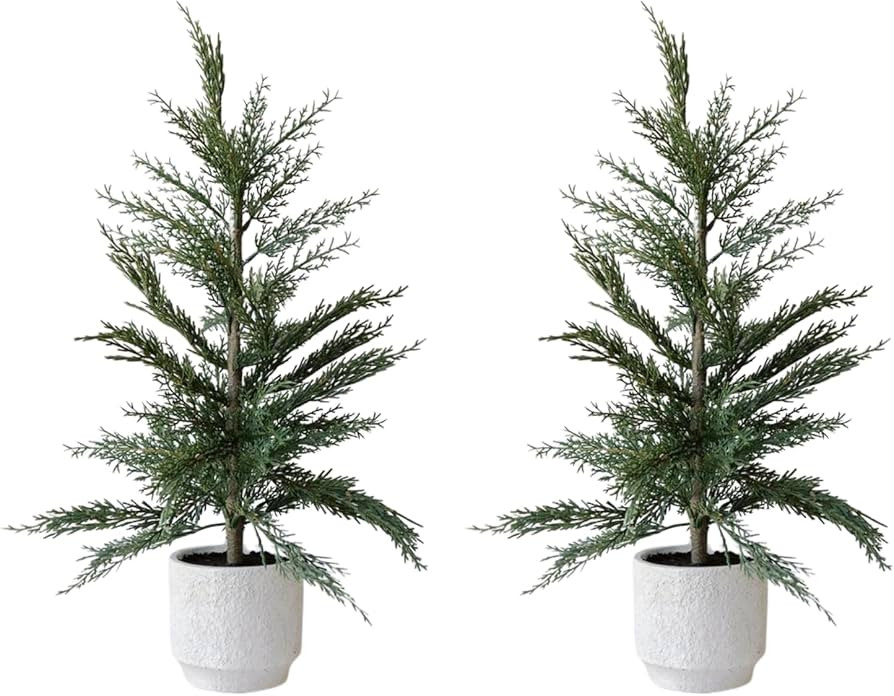 CG Hunter Holiday Collection, Set-of-2 Faux Cedar Trees, Premium Artificial Indoor & Outdoor Ceda... | Amazon (US)