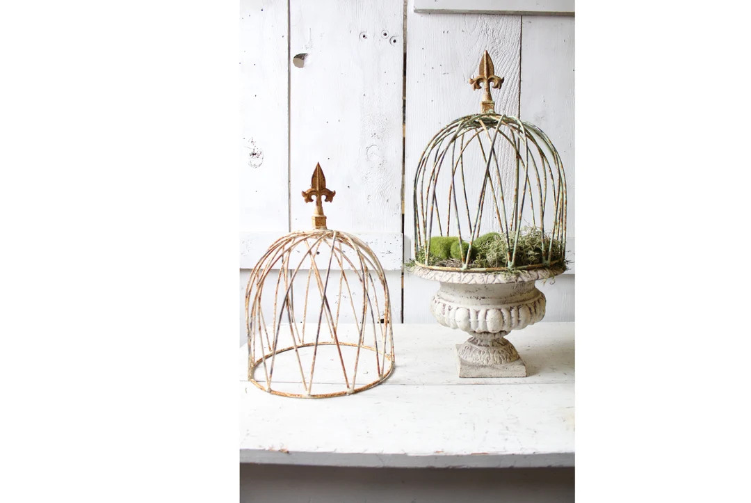 Rustic Wrought Iron Cloche, Topiary Trellis, Plant Climber (16 inch) | Etsy (US)