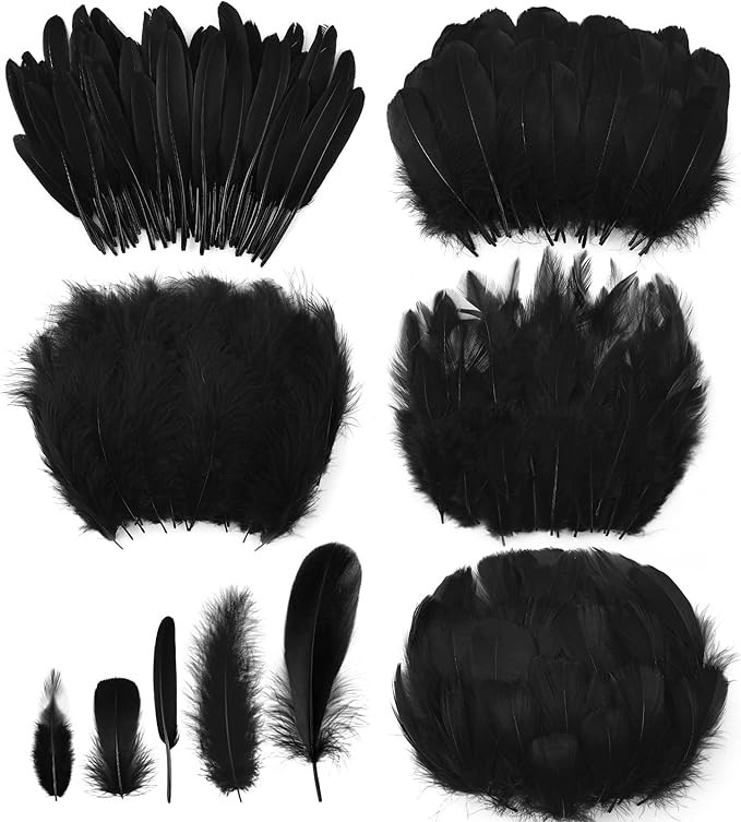 500 Pcs Halloween Black Assorted Crafts Feathers 4 Styles Mixed Feathers Black Feathers for Craft... | Amazon (US)