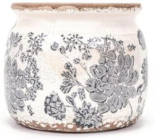 Dosayes Vintage Plant Pot, Gray, 6.29 inch Ceramic Flower Pot | Rustic Floral Design with Crackle... | Amazon (US)