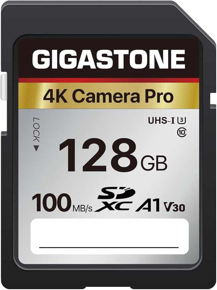 Gigastone 128GB SDXC Memory Card 4K Pro Series Camera Transfer Speed Up to 100MB/s Compatible wit... | Amazon (US)