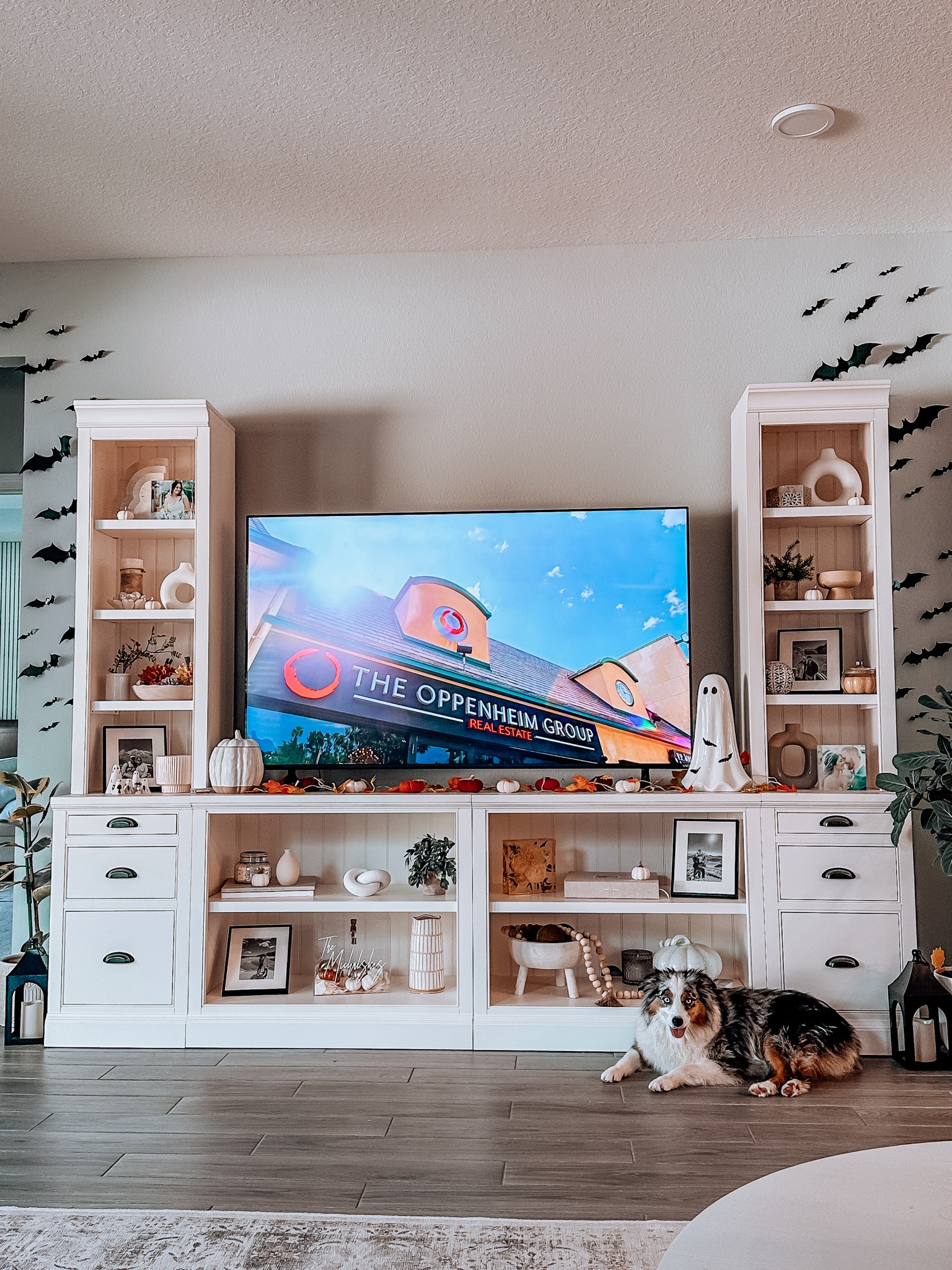 living room fall halloween bat pumpkin spice tv stand dog house home decor decorations inspo

#LTKHome #LTKSeasonal #LTKFallSale