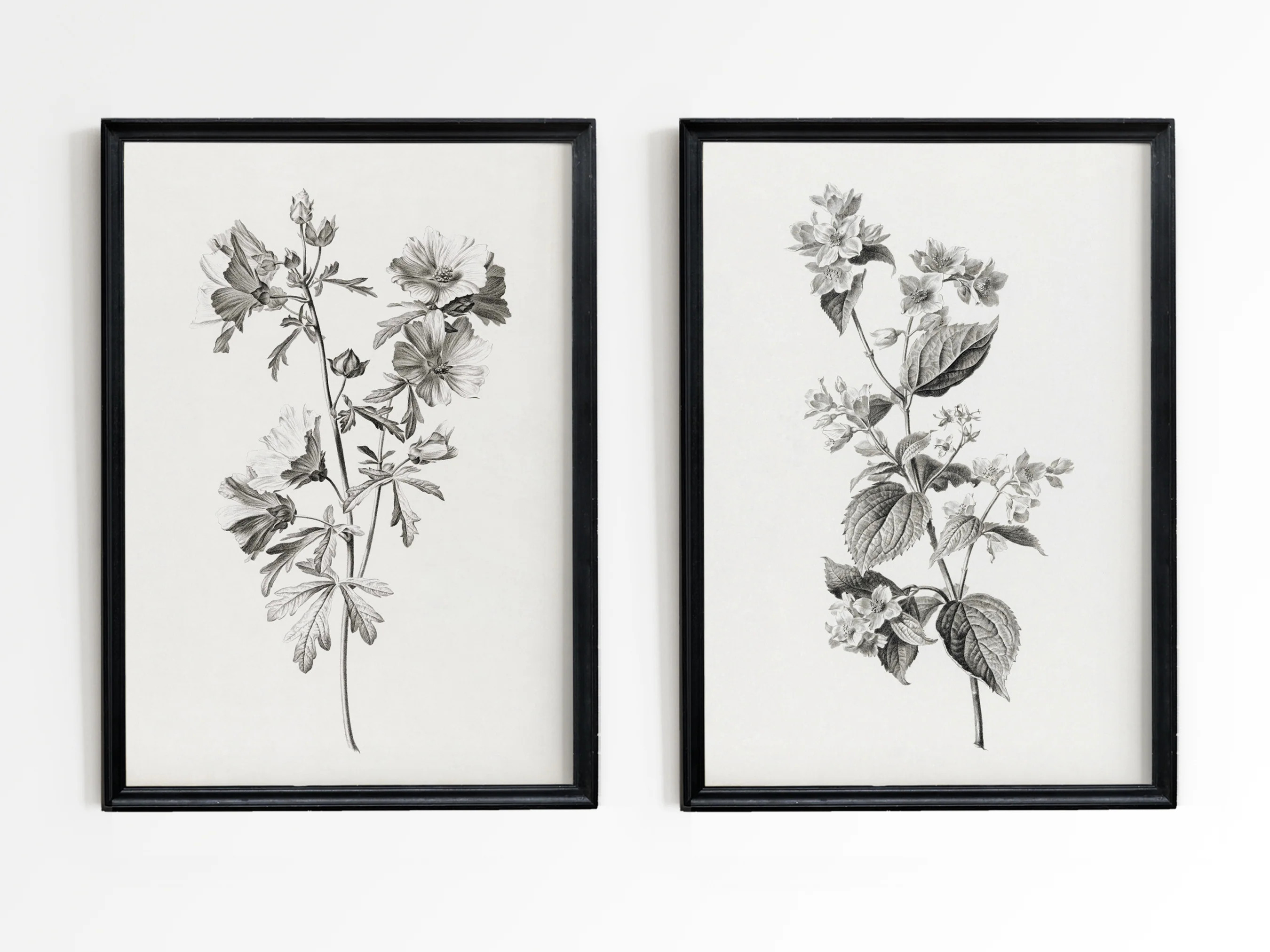 Blossoms | Heirloom Print Shop